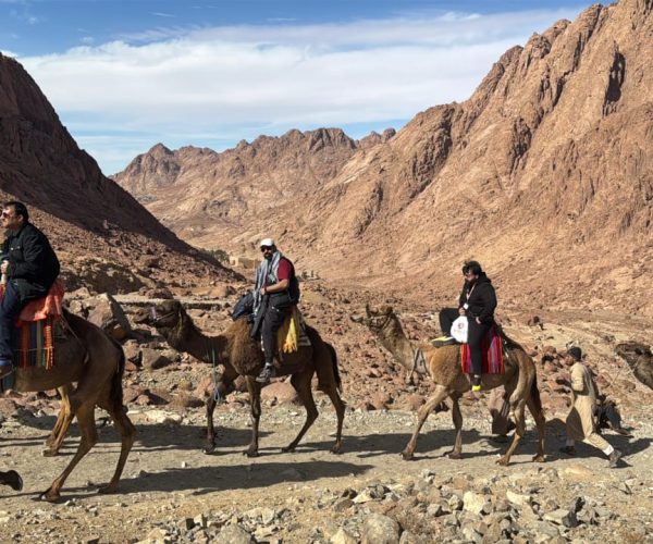 imgi_19_WhatsApp-Image-2025-01-20-at-15.54.07-2